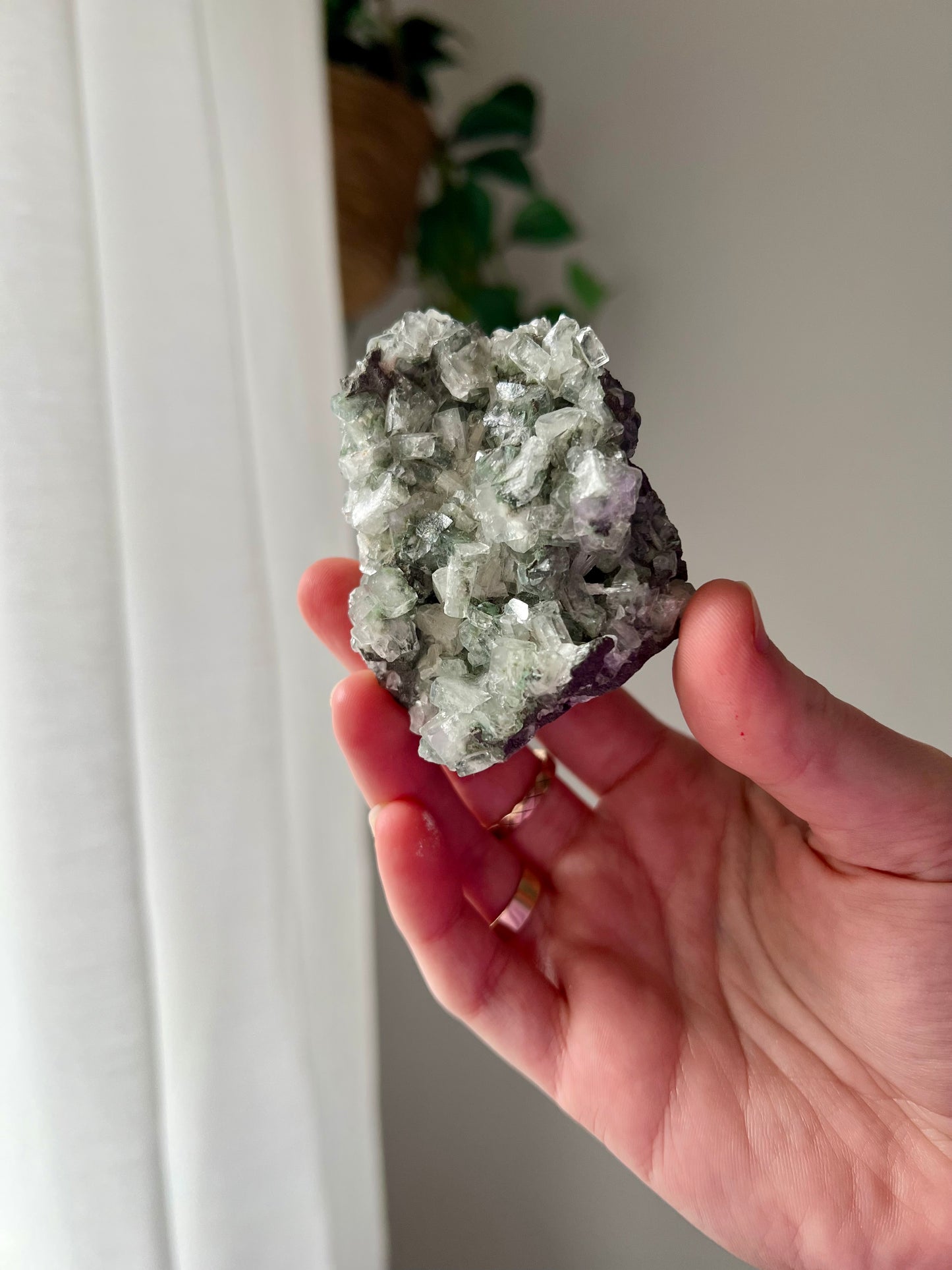 Green Apophyllite on Basalt from India