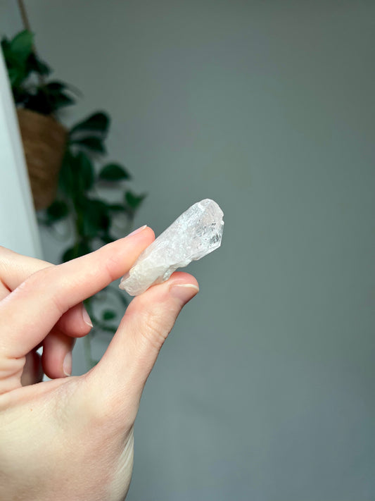Danburite from Mexico