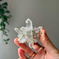 Quartz with chlorite from Afghanistan