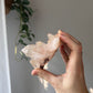 Himalayan Quartz cluster
