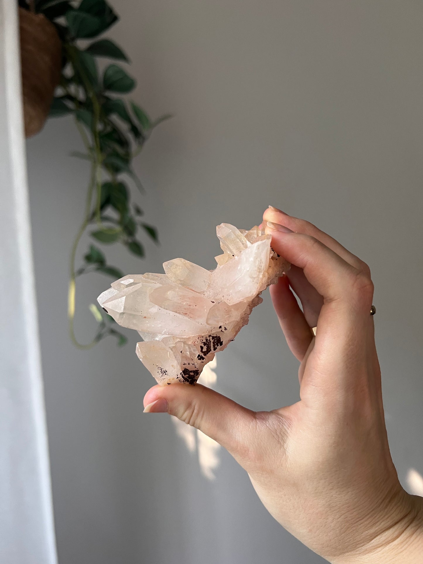 Himalayan Quartz cluster