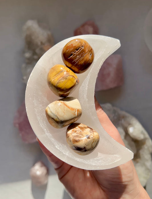 Petrified Wood tumbled stones from WA Australia