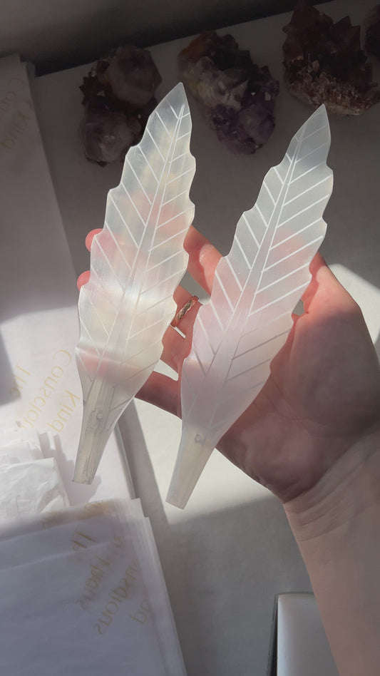 Selenite feather from Morocco